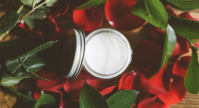 Naminos Delementum Disumos An Cosmo Tincidunts Loremous